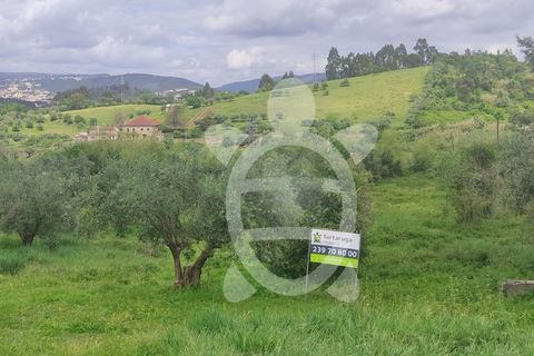 Helårsgrund i Coimbra, Coimbra, Coimbra - € 110.000 | Ref: 17-2925 - foto 29