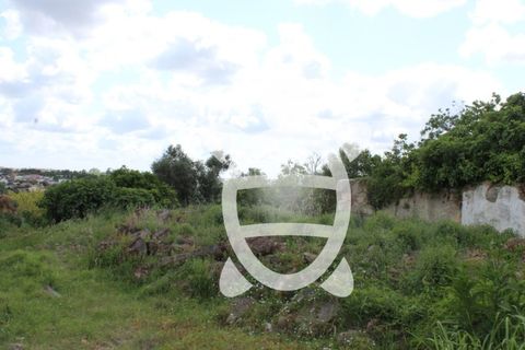 Helårsgrund i Cernache, Coimbra, Cernache - € 59.500 | Ref: 17-2454 - foto 6