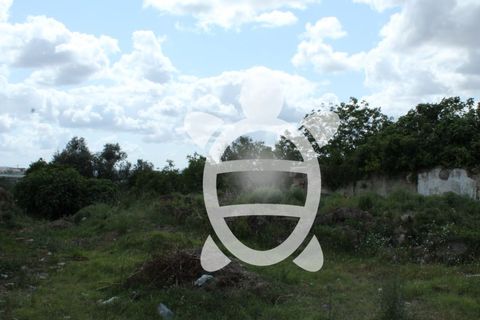 Helårsgrund i Cernache, Coimbra, Cernache - € 59.500 | Ref: 17-2454 - foto 8