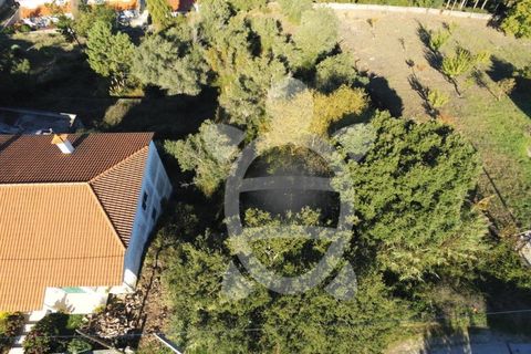 Helårsgrund i Coimbra, Coimbra, Coimbra - € 50.000 | Ref: 17-1374 - foto 1