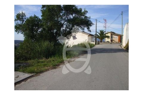 Helårsgrund i Coimbra, Coimbra, Coimbra - € 50.000 | Ref: 17-1374 - foto 2