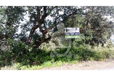 Helårsgrund i Coimbra, Coimbra, Coimbra - € 50.000 | Ref: 17-1374 - foto 3