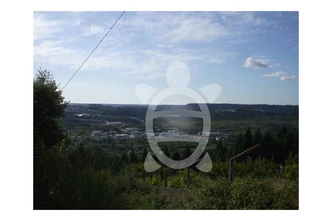 Helårsgrund i Coimbra, Coimbra, Coimbra - € 50.000 | Ref: 17-1374 - foto 6