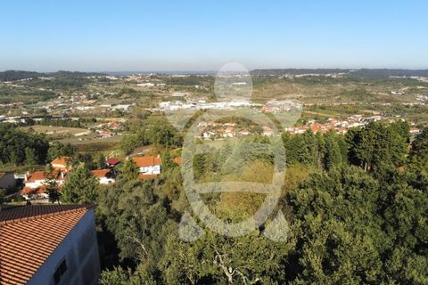 Helårsgrund i Coimbra, Coimbra, Coimbra - € 50.000 | Ref: 17-1374 - foto 7