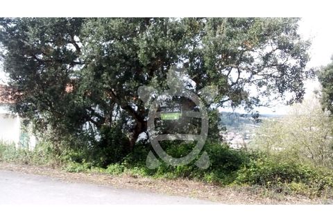 Helårsgrund i Coimbra, Coimbra, Coimbra - € 50.000 | Ref: 17-1374 - foto 8