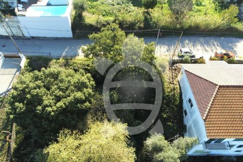 Helårsgrund i Coimbra, Coimbra, Coimbra - € 50.000 | Ref: 17-1374 - foto 13