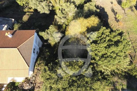 Helårsgrund i Coimbra, Coimbra, Coimbra - € 50.000 | Ref: 17-1374 - foto 17