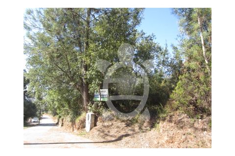 Terra a Ceira, Coimbra, Ceira - € 64.500 | Ref: 17-3846 - foto 5