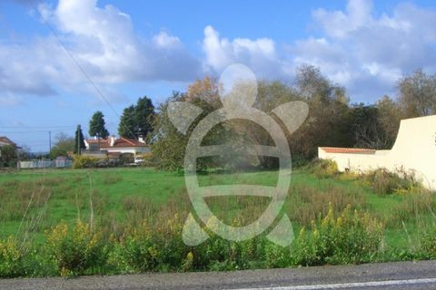 Helårsgrund i Cernache, Coimbra, Cernache - € 54.000 | Ref: 17-3496 - foto 2