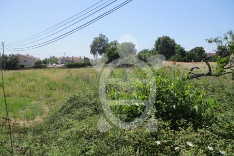 Helårsgrund i Cernache, Coimbra, Cernache - € 54.000 | Ref: 17-3496 - foto 3