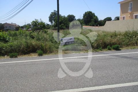 Helårsgrund i Cernache, Coimbra, Cernache - € 54.000 | Ref: 17-3496 - foto 4