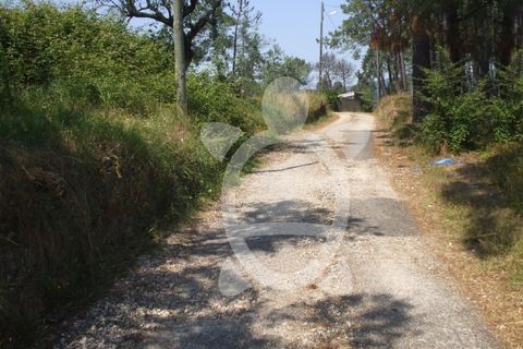 Helårsgrund i Coimbra, Coimbra, Coimbra - € 175.000 | Ref: 17-3239 - foto 3