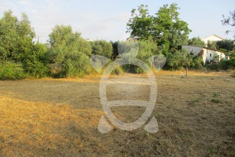 Helårsgrund i Cernache, Coimbra, Cernache - € 75.000 | Ref: 17-3592 - foto 3