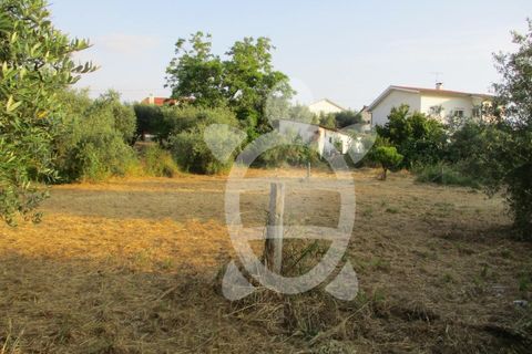 Helårsgrund i Cernache, Coimbra, Cernache - € 75.000 | Ref: 17-3592 - foto 4