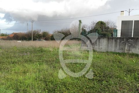Helårsgrund i Coimbra, Coimbra, Coimbra - € 55.000 | Ref: 17-2568 - foto 8