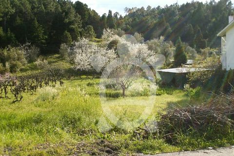 Helårsgrund i Assafarge e Antanhol, Coimbra, Assafarge e Antanhol - € 100.000 | Ref: 17-3728 - foto 1