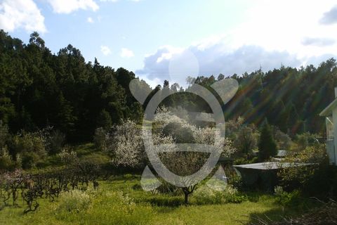 Helårsgrund i Assafarge e Antanhol, Coimbra, Assafarge e Antanhol - € 100.000 | Ref: 17-3728 - foto 2