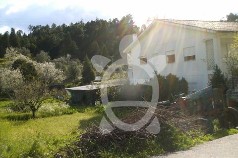 Helårsgrund i Assafarge e Antanhol, Coimbra, Assafarge e Antanhol - € 100.000 | Ref: 17-3728 - foto 3