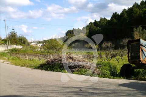 Helårsgrund i Assafarge e Antanhol, Coimbra, Assafarge e Antanhol - € 100.000 | Ref: 17-3728 - foto 4