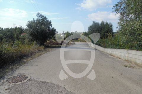 Terra a Cernache, Coimbra, Cernache - € 90.000 | Ref: 17-3727 - foto 3