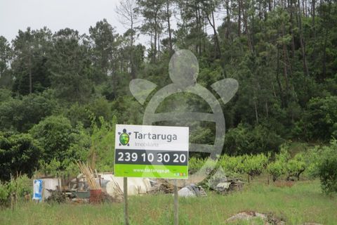 Terra a Cernache, Coimbra, Cernache - € 90.000 | Ref: 17-3727 - foto 4