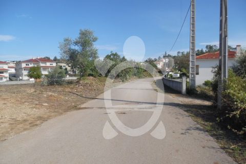 Terra a Cernache, Coimbra, Cernache - € 90.000 | Ref: 17-3727 - foto 5