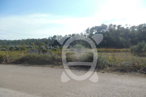 Terra a Cernache, Coimbra, Cernache - € 90.000 | Ref: 17-3727 - foto 7