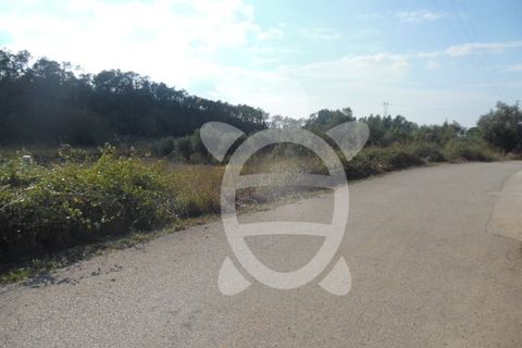 Terra a Cernache, Coimbra, Cernache - € 90.000 | Ref: 17-3727 - foto 9