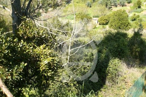 Helårsgrund i Assafarge e Antanhol, Coimbra, Assafarge e Antanhol - € 54.000 | Ref: 17-3734 - foto 3