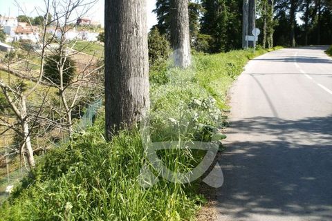 Helårsgrund i Assafarge e Antanhol, Coimbra, Assafarge e Antanhol - € 54.000 | Ref: 17-3734 - foto 5