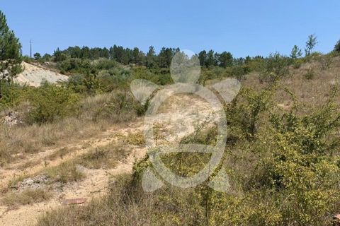 Helårsgrund i Coimbra, Coimbra, Coimbra - € 500.000 | Ref: 17-3830 - foto 6