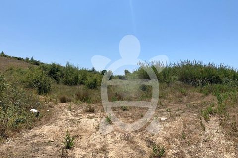 Helårsgrund i Coimbra, Coimbra, Coimbra - € 500.000 | Ref: 17-3830 - foto 7