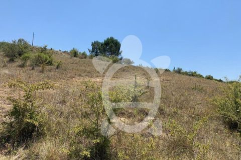 Helårsgrund i Coimbra, Coimbra, Coimbra - € 500.000 | Ref: 17-3830 - foto 8