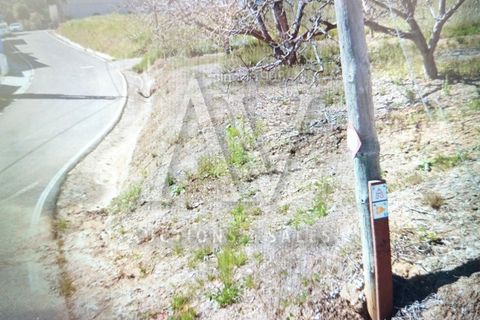 Terra a Batalha, Leiria, Batalha - € 135.000 | Ref: BTL1033 - foto 2