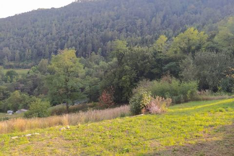 Terra a Civezzano, Trento, Civezzano - € 99.000 | Ref: TL01110 - foto 3