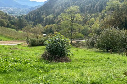 Terra a Civezzano, Trento, Civezzano - € 99.000 | Ref: TL01110 - foto 7