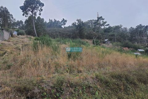 Terra a Camacha, Madeira, Camacha - € 70.000 | Ref: 1696 - foto 2