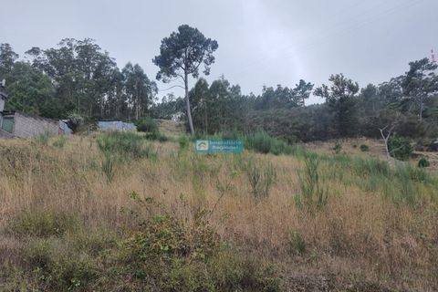 Terra a Camacha, Madeira, Camacha - € 70.000 | Ref: 1696 - foto 3