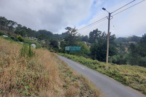 Terra a Camacha, Madeira, Camacha - € 70.000 | Ref: 1696 - foto 4