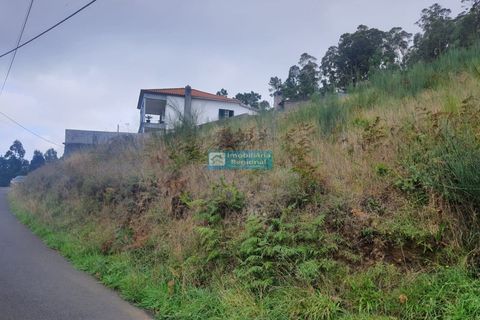 Terra a Camacha, Madeira, Camacha - € 70.000 | Ref: 1696 - foto 6
