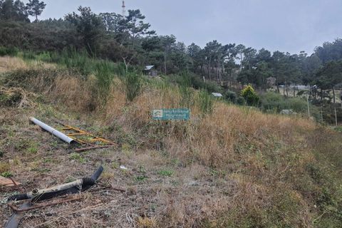 Terra a Camacha, Madeira, Camacha - € 70.000 | Ref: 1696 - foto 7
