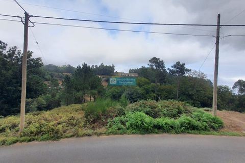 Terra a Camacha, Madeira, Camacha - € 70.000 | Ref: 1696 - foto 8