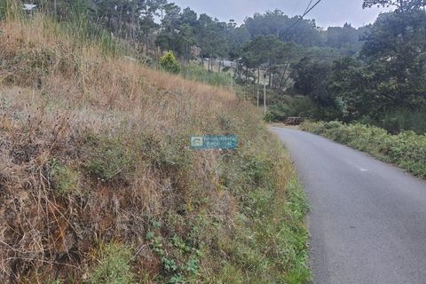 Terra a Camacha, Madeira, Camacha - € 70.000 | Ref: 1696 - foto 9