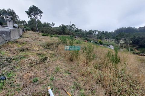 Terra a Camacha, Madeira, Camacha - € 70.000 | Ref: 1696 - foto 10