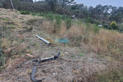 Terra a Camacha, Madeira, Camacha - € 70.000 | Ref: 1696 - foto 11