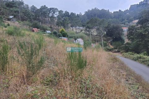 Terra a Camacha, Madeira, Camacha - € 70.000 | Ref: 1696 - foto 14