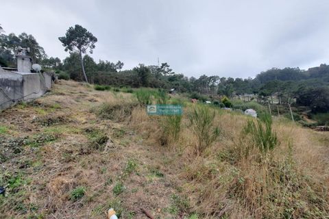 Terra a Camacha, Madeira, Camacha - € 70.000 | Ref: 1696 - foto 12