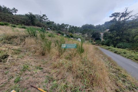 Terra a Camacha, Madeira, Camacha - € 70.000 | Ref: 1696 - foto 16