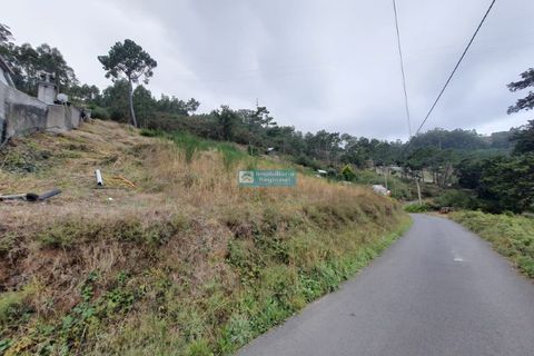 Terra a Camacha, Madeira, Camacha - € 70.000 | Ref: 1696 - foto 15