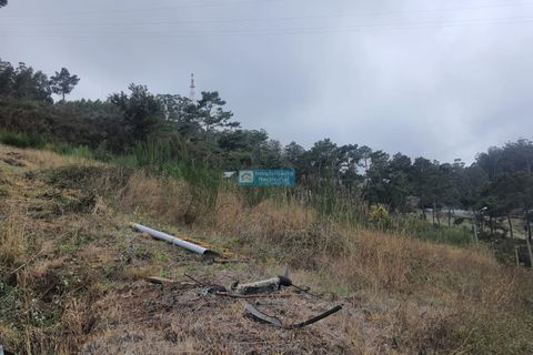 Terra a Camacha, Madeira, Camacha - € 70.000 | Ref: 1696 - foto 17